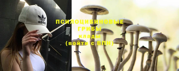 PSILOCYBIN Балабаново