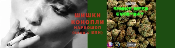 прущие крисы Арсеньев