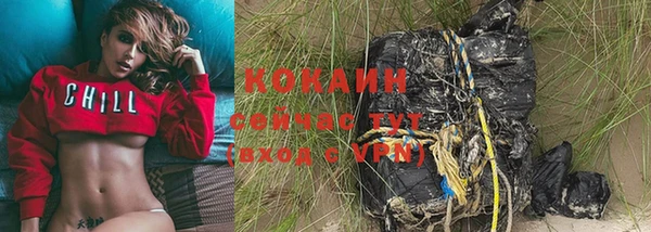 PSILOCYBIN Балабаново