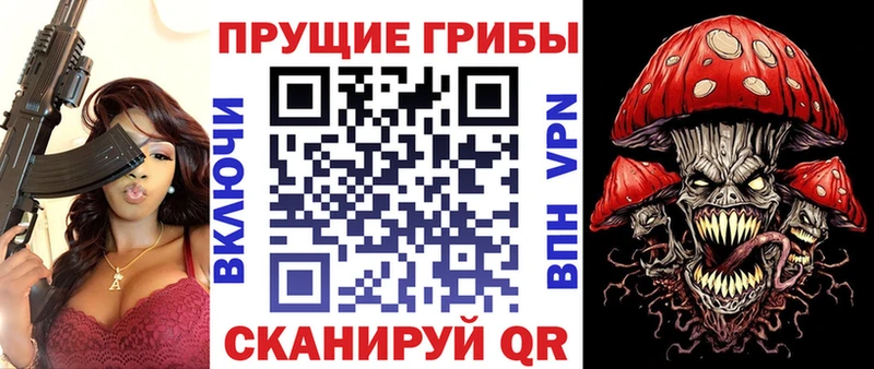 как найти   Ярцево  Галлюциногенные грибы Psilocybe 