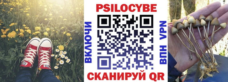 Галлюциногенные грибы Psilocybe Ярцево