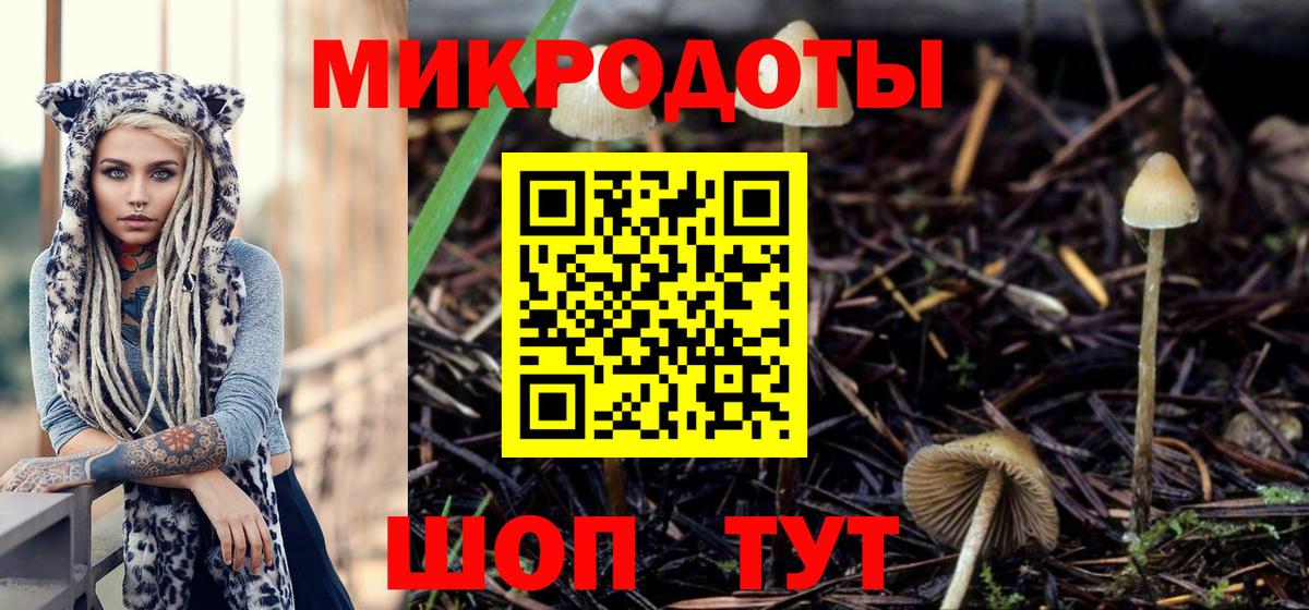 Псилоцибиновые грибы Psilocybine cubensis Ярцево