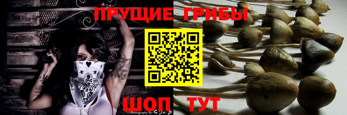 Галлюциногенные грибы Psilocybe  Вход с VPN  Ярцево  Псилоцибиновые грибы Cubensis 