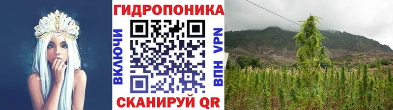 Шишки марихуана марихуана Ярцево